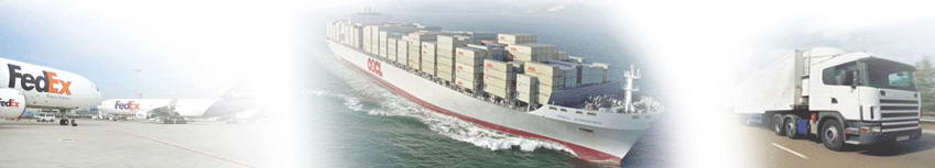 Import Export Service china